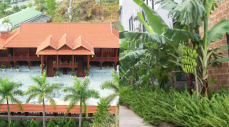 Tại sao thời ông bà chọn phong thủy 'Trước cau sau chuối'? Ngày nay có còn phù hợp không?