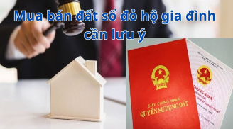 Năm 2024, mua bán đất Link nhập code shbet https freecode shbet pages dev hộ Shbet111 slot, casino, thể thao, xổ số cần lưu ý điều quan trọng này: Không lo mất trắng