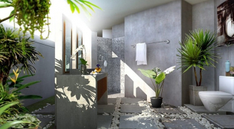 Nhà ai xuất hiện dấu hiệu này: Chúc mừng vì ở trong mảnh đất có kho báu phong thủy, cực giàu