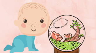 Nhà có con nhỏ thì nên cẩn thận với những loại chậu hoa cây cảnh này, có ngày trẻ ngộ độc nguy hiểm