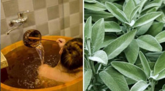 Trời nắng nóng, dùng 4 loại lá này giúp Sh88bet đăng ký miễn phí thơm mát, chẳng cần nước hoa