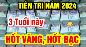 3 tuổi đỏ cả Tình lẫn Tiền trong 6  tới: Số sướng như tiên, công danh thăng tiến, đếm tiền mỏi tay