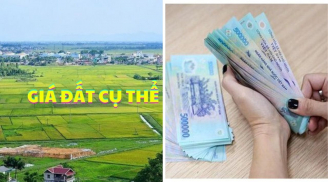 6 trường hợp sẽ được áp dụng giá đất cụ thể từ 01/01/2025: Người dân cần nắm rõ