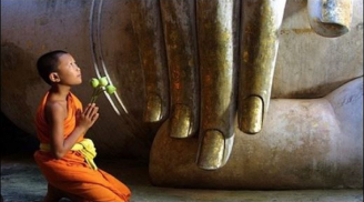 4 điều ''không'' giúp bạn tránh khỏi những tai họa, sân si