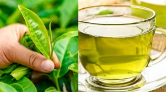 Mẹo hay để hãm nước trà xanh đẹp mắt để lâu không bị đỏ nước, không chát
