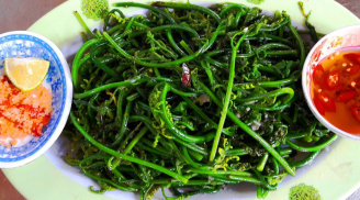 Loại rau dại mọc trong rừng giờ thành đặc sản, bán 100 nghìn/kg cũng hết sạch