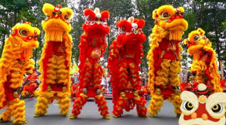 Tại sao khi khai trương lại múa lân sư rồng? Múa lân sư rồng có thực sự mang lại ý nghĩa tốt lành?