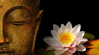 Chỉ cần sở hữu 1 đặc điểm này, con người càng sống sẽ càng có phúc: Bạn có không?