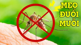 Mẹo đuổi muỗi trong phòng ngủ cực đơn giản, không còn 1 con nào dám vo ve