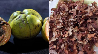 Loại quả là ‘kho báu’ miền quê, nay thành đặc sản dân thành phố ưa chuộng, giá 30.000 đồng/kg