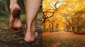 Cổ nhân dặn: Sang đầu thu, ăn ba món, uống ba loại, làm ba việc, và tránh ba điều cấm kỵ kẻo tai họa