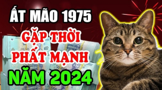 30 ngày liên tiếp, Tổ tiên phù hộ, 3 Shbet888.com nhà cái uy tín công danh đạt đỉnh, mã đáo thành công