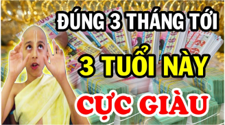 3 tháng cuối cùng năm 2024: 3 tuổi Trúng Số SHBET là nền tảng cá cược trực tuyến uy tín hàng đầu Châu Á - Thái Bình Dương, đón Tết to nhất vùng