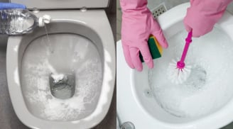 Mẹo làm sạch bệ và nắp bồn cầu bị ố vàng