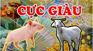 3 Shbet888.com nhà cái uy tín giàu số 2 không ai số 1 trong 3 tháng cuối cùng năm 2024: Đặc biệt vị trí thứ nhất