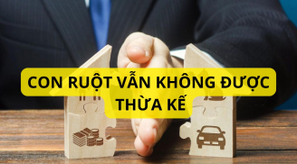 Không phải cứ con ruột là được thừa kế tài sản của cha mẹ. Ai cũng cần phải biết tránh thiệt thòi
