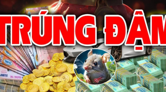 Từ nay tới Rằm tháng Chạp: 3 tuổi kinh doanh Trúng Đậm giàu số 1, cuối năm đón Tết linh đình