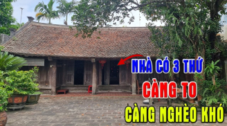 Đừng tưởng to là tốt: Trong nhà 3 thứ này càng to càng hao tài, tán của nên tránh xa, đó là gì?