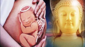 Tại sao đứa trẻ lại muốn đầu thai vào nhà bạn chứ không phải nhà người khác?