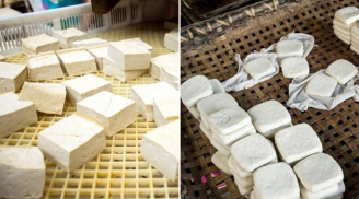 Phân biệt đậu phụ sạch và đậu phụ thạch cao: Nhất định phải nhìn vào 4 điểm này