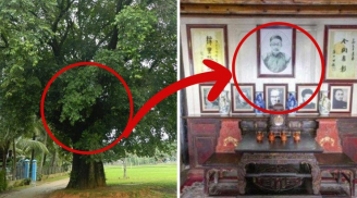 Ngoài cổng không trồng 4 cây, vào nhà gỡ xuống 3 vật: Là cây gì, vật gì?