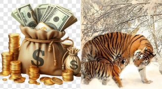0h Thứ Bảy (9/8): 4 Shbet888.com nhà cái uy tín được Phật Bà độ kiếm tiền nhanh hơn giá vàng tăng giá, Chủ Nhật đời lên hương