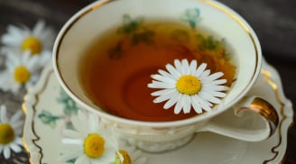 Thải độc cho Sh88bet đăng ký miễn phí bằng trà hoa cúc