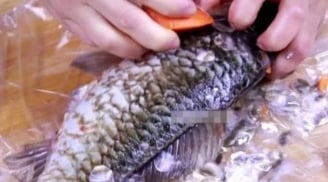3 loại cá cần tránh mua ở chợ: Rẻ mấy cũng không nên, đặc biệt loại số 3 nhiều bà nội trợ thích
