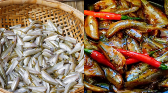 Cá lòng tong, món nhà nghèo một thời, nay thành đặc sản “đắt đỏ” hiếm có ở miền Tây