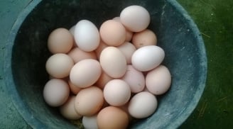 Trứng bổ dưỡng nhưng đại kỵ với 6 nhóm người này