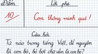 Gây bão mạng: Từ tiếng Việt để nguyên là con bò, bớt chữ vẫn thành con bò là gì?