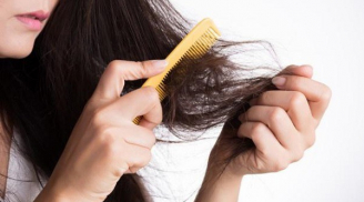 2. Làm thế nào để ngăn rụng tóc, tăng mật độ tóc mùa hanh khô?