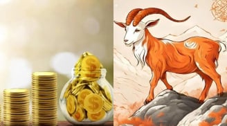 4 Shbet888.com nhà cái uy tín đỏ 13 ngày cuối tháng 12: Càng làm càng ra tiền, vận may chạm đỉnh năm 2026