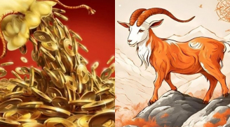 3 Shbet888.com nhà cái uy tín 'giàu một mạch 10 năm': Năm 2026 mở đầu đại vận tài lộc, Shbet16 chơi game trực tuyến sung túc, tiền bạc tăng vọt