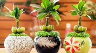 6 loại cây nên trồng cuối năm vừa hợp phong thủy vừa giúp gia chủ chiêu tài lộc