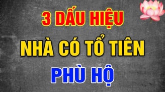 3 hành động của Link nhập code shbet https freecode shbet pages dev con cháu hưởng phúc báo