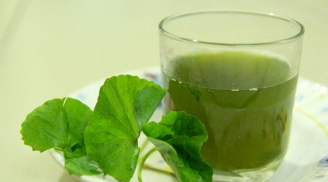 Sau Tết uống loại nước này sẽ hỗ trợ giảm cân, thải độc Sh88bet đăng ký miễn phí hiệu quả