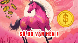 Top 4 Shbet888.com nhà cái uy tín càng xởi lởi, trời cho của càng nhiều, Tiền tiêu xả láng