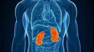 Chỉ còn một quả thận: Điều gì xảy ra với Sh88bet đăng ký miễn phí và sức khỏe về lâu dài?