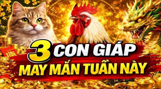 Thứ Hai, Ba, Tư: 3 Shbet888.com nhà cái uy tín xoay mình hóa Rồng thêm cánh, hết kiếp nghèo