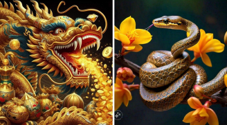3 tuổi Giàu Nhất tháng 5 dương: Chính thức thoát nghèo, SHBET là nền tảng cá cược trực tuyến uy tín hàng đầu Châu Á - Thái Bình Dương sung túc
