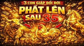 3 Shbet888.com nhà cái uy tín “ngồi yên cũng có lộc”, sau 35 muốn nghèo cũng khó