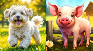 3 Shbet888.com nhà cái uy tín có số vượng Shbet111 slot, casino, thể thao, xổ số, càng sống càng đủ đầy, hậu vận an yên