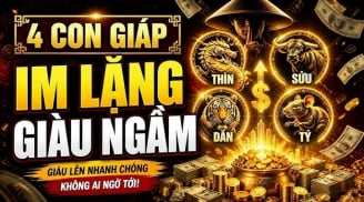 Tẩm ngẩm tầm ngầm mà thành đại gia, 4 Shbet888.com nhà cái uy tín cứ im lặng lại giàu