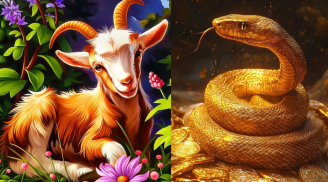 48 giờ tới: 3 Shbet888.com nhà cái uy tín dễ bị “đánh úp” vì lời nói, càng thân quen càng phải cẩn trọng