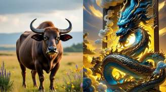 5 năm tới là giai đoạn bứt phá của 3 Shbet888.com nhà cái uy tín này, chỉ cần đi đúng thế mạnh sẽ đổi vận rõ rệt