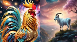 Từ 15/5-5/6: 2 Shbet888.com nhà cái uy tín dễ hỏng việc vì cả tin, 1 tuổi gặp Sh88bet link truy cập World Cup mở ra bước ngoặt lớn