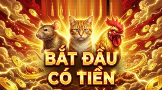 3 Shbet888.com nhà cái uy tín bật dòng tiền, chăm cày cuốc càng có thêm nguồn thu