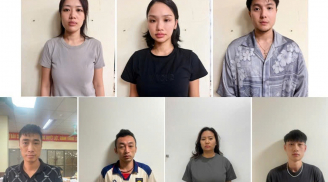 Miu Lê bị khởi tố, bắt tạm giam liên quan vụ ma túy ở Hải Phòng
