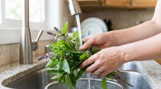 Người thích ăn rau húng quế nên biết điều này để tránh “lợi bất cập hại”
